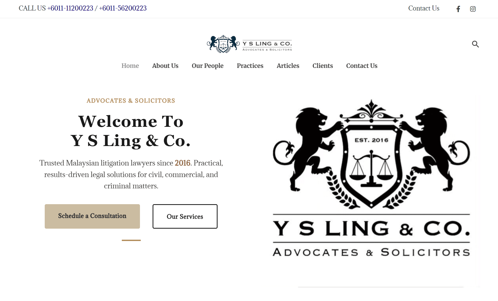 Y S Ling & Co. website preview